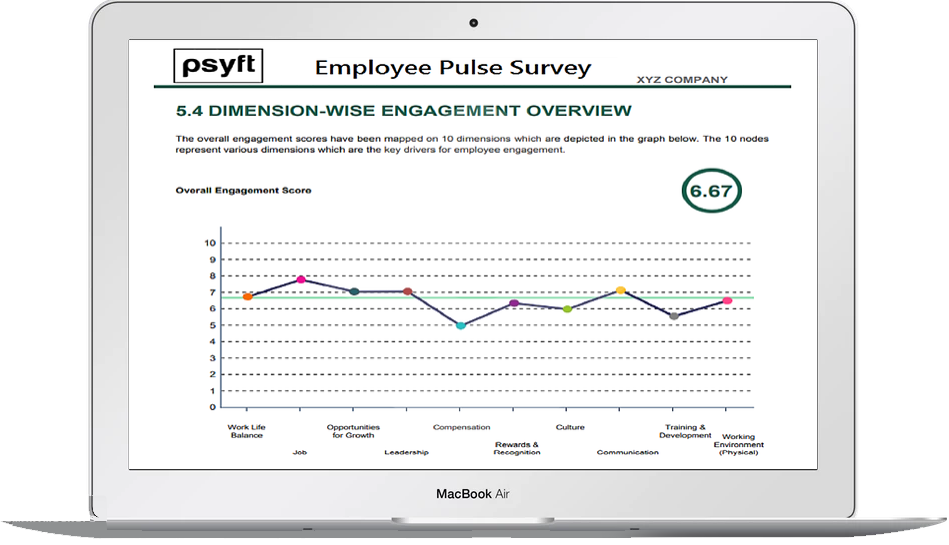 What is a Pulse Survey?